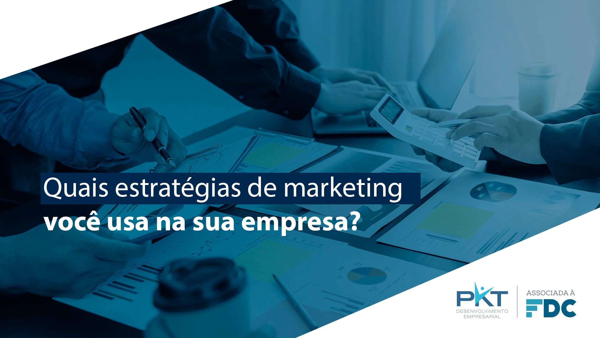 Quais estratégias de marketing você usa na sua empresa?